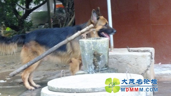 conew_dscf5773.jpg