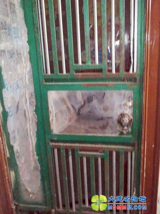 WP_001556.jpg