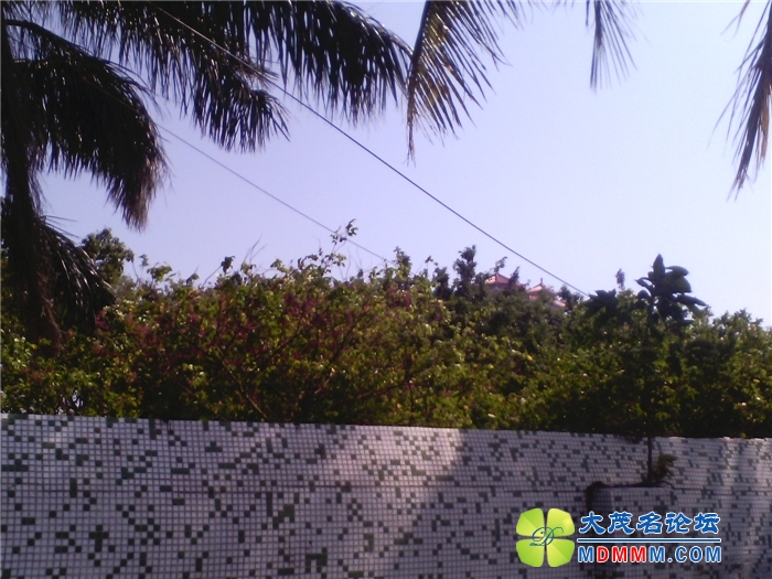 IMG_20131007_133744.jpg