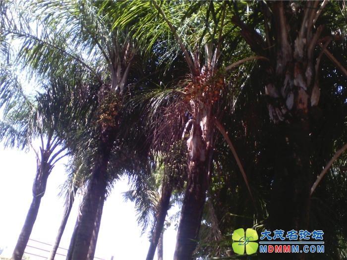 IMG_20131007_133624.jpg