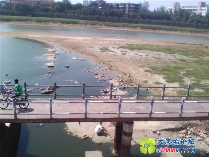 IMG_20131007_134146.jpg