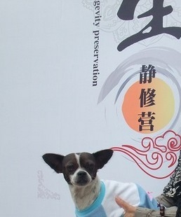 QQͼƬ123456.jpg