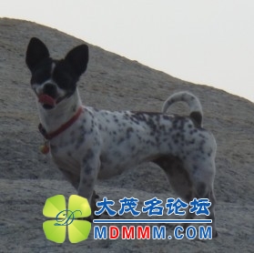 QQͼƬ20131012143010.jpg