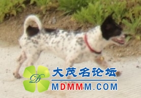 QQͼƬ20131012143019.jpg