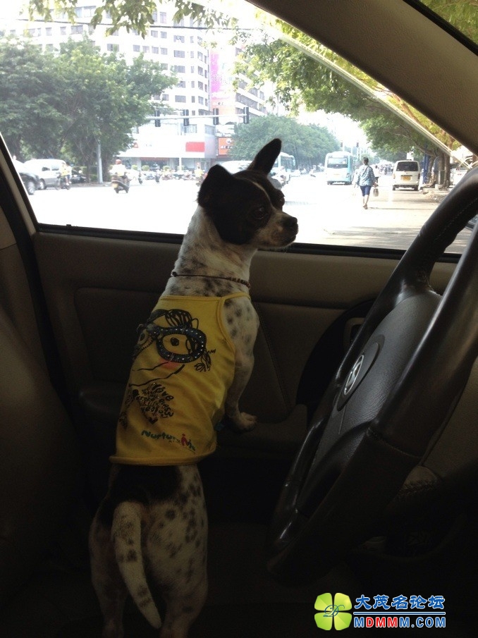 QQͼƬ20131012143753.jpg