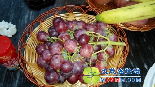 IMG20131013102517.jpg