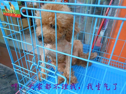 生气了.jpg