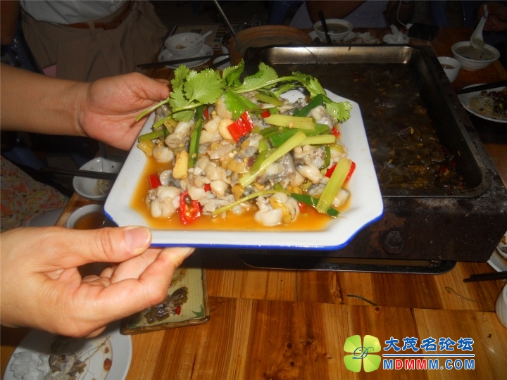 DSCN2755.jpg