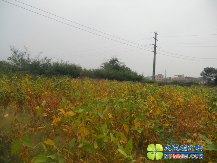 DSCN2709.jpg