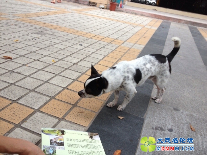 QQͼƬ20131017123000.jpg