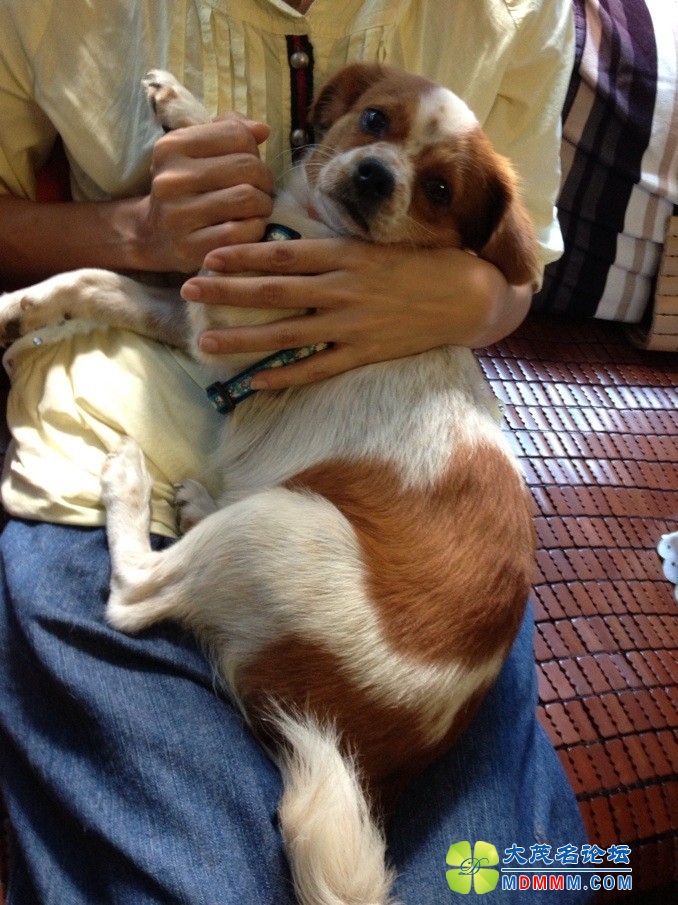 QQͼƬ20131018175025.jpg