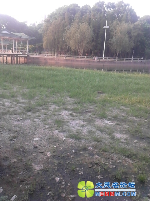 IMG_20131020_074724.jpg