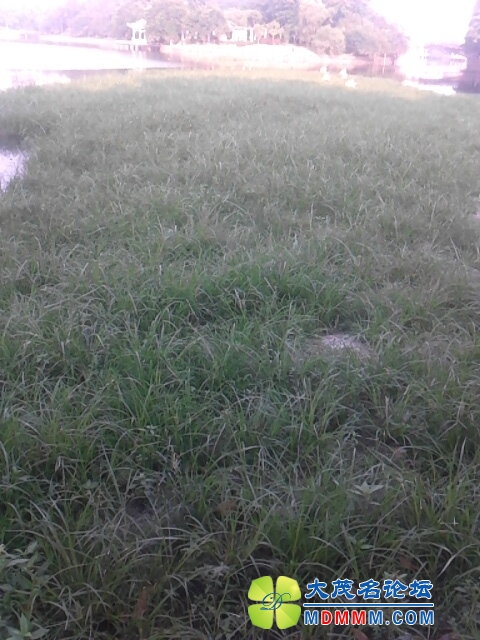 IMG_20131020_075034.jpg