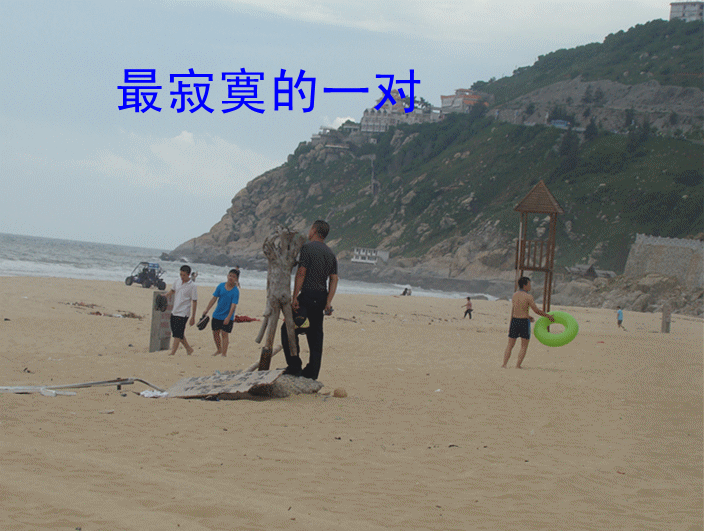 DSC09851_.gif