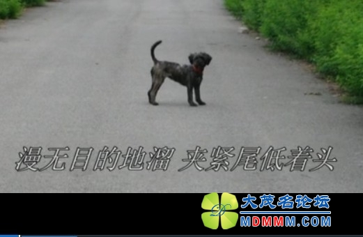 QQͼƬ20131021120130.jpg