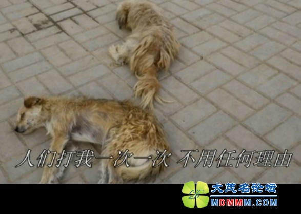 QQͼƬ20131021115804.jpg