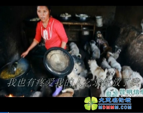 QQͼƬ20131021120926.jpg