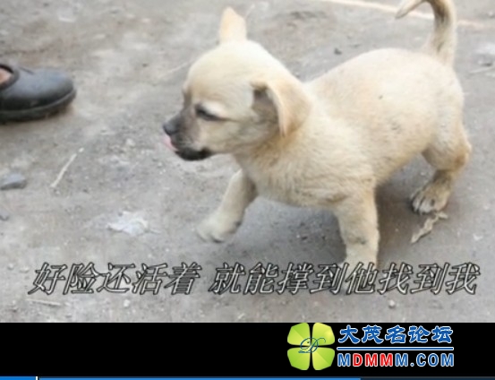 QQͼƬ20131021121359.jpg