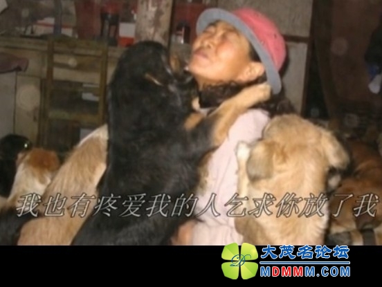 QQͼƬ20131021121537.jpg