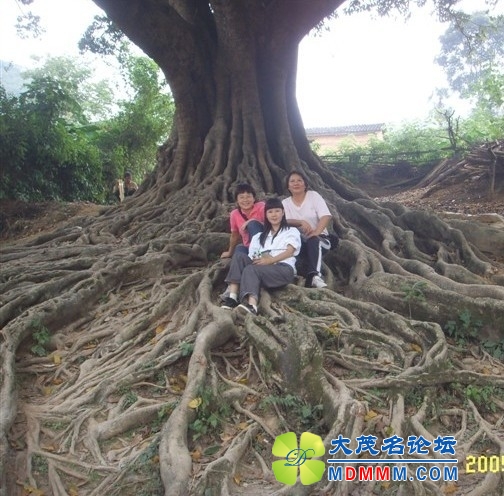 QQͼƬ20131022103041.jpg