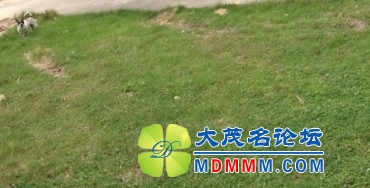 QQͼƬ20131023092746.jpg
