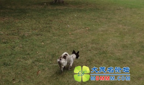 QQͼƬ20131023093038.jpg