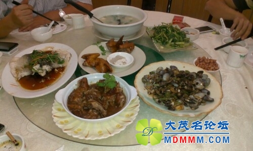 IMG20131023135510.jpg