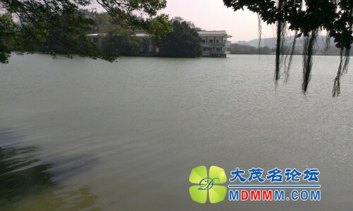 IMG20131025125855.jpg
