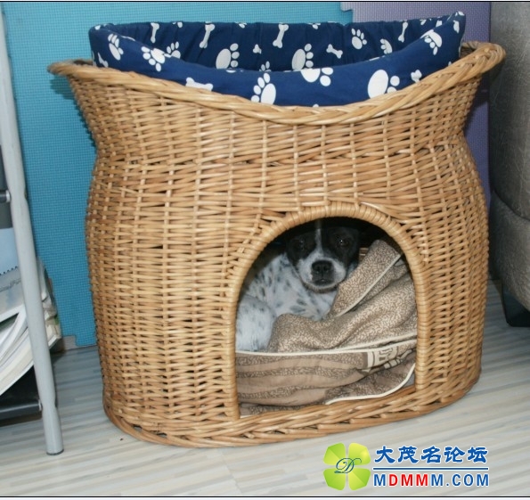 QQͼƬ20131025185024.jpg