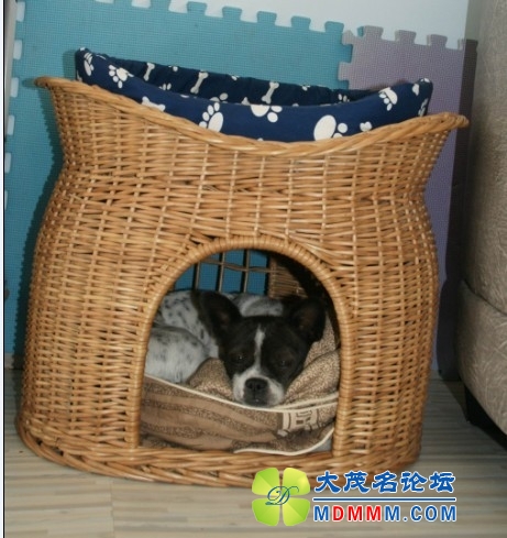 QQͼƬ20131025185107.jpg