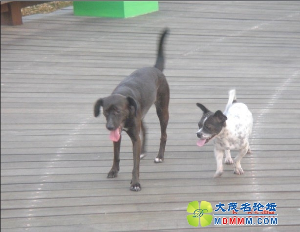 QQͼƬ20131025205742.jpg