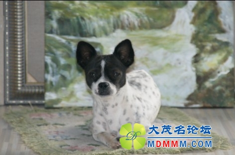 QQͼƬ20131025211214.jpg