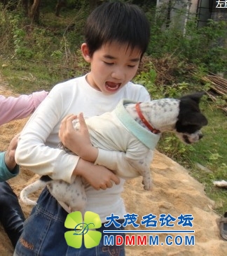 QQͼƬ20131025223258.jpg