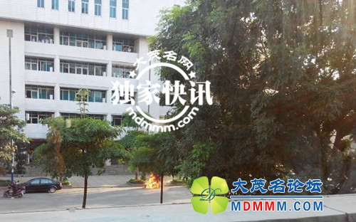 mmexport1382757945533_.jpg
