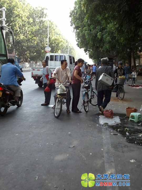 WP_001658.jpg