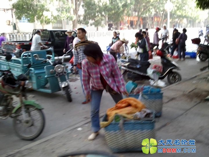 WP_001666.jpg