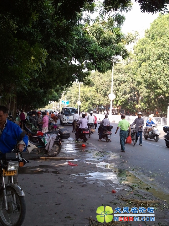 WP_001684.jpg