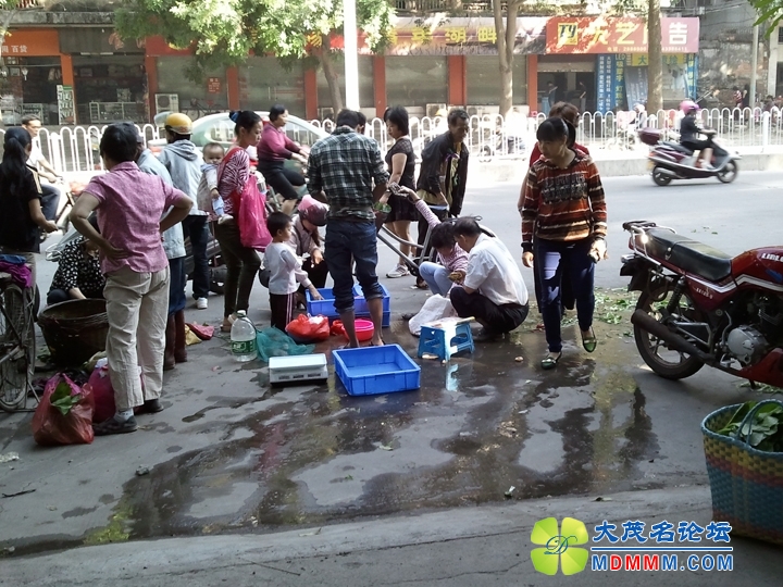 WP_001676.jpg
