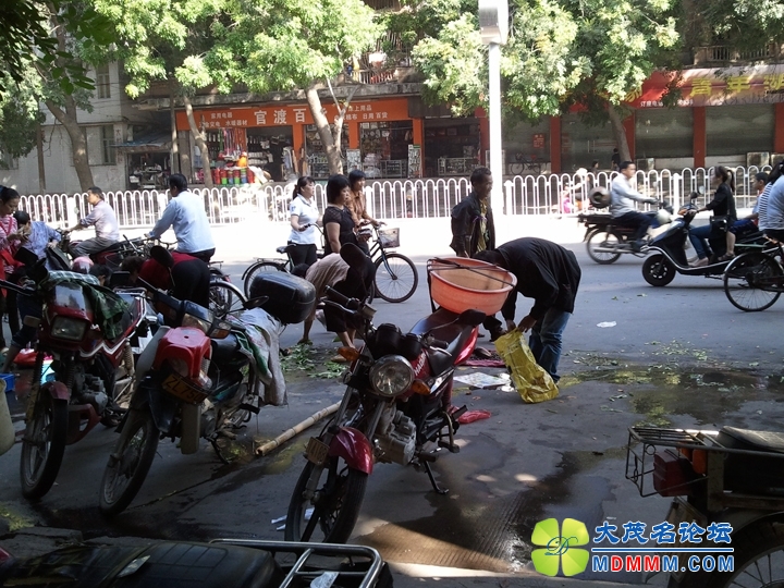WP_001677.jpg