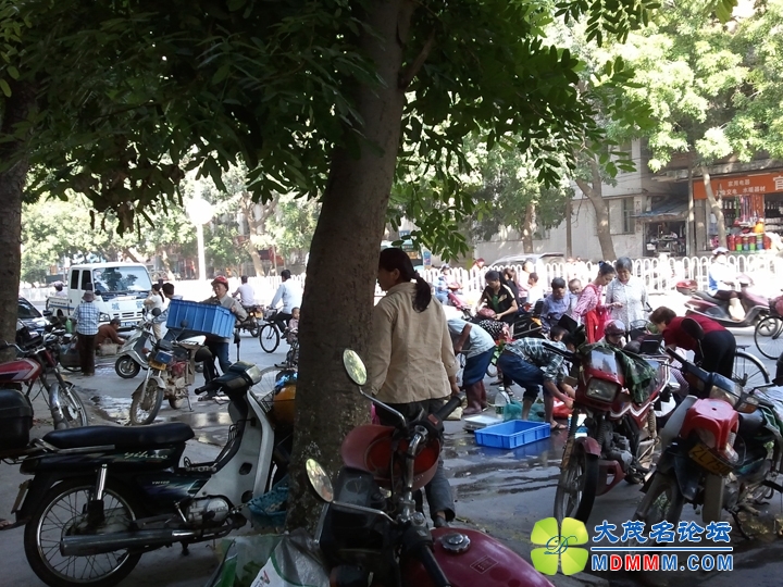 WP_001678.jpg
