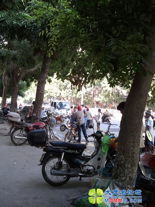 WP_001680.jpg