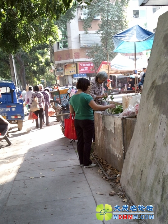 WP_001691.jpg