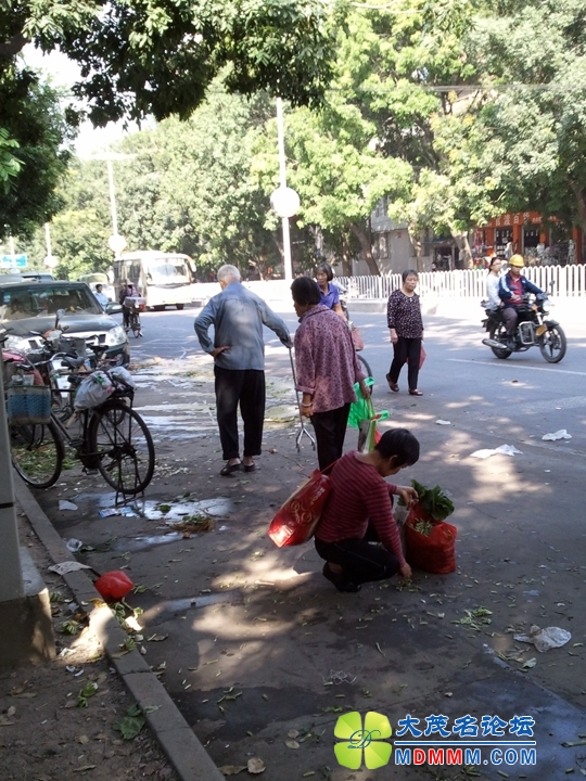 WP_001693.jpg