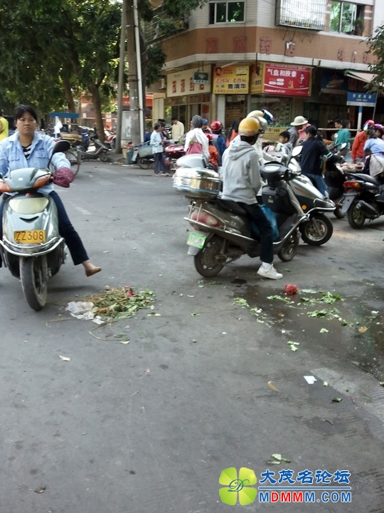 WP_001695.jpg