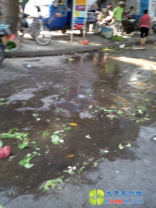 WP_001697.jpg