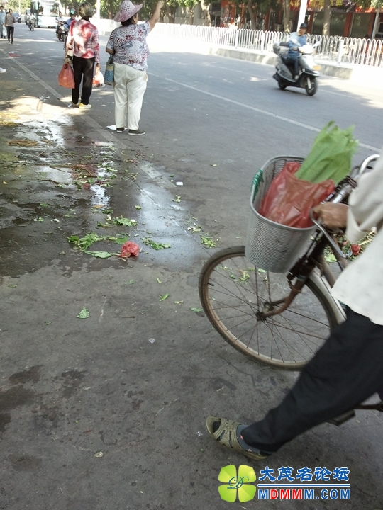 WP_001700.jpg