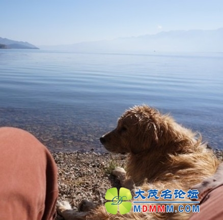 QQͼƬ20131026143812.jpg