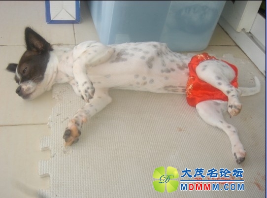 QQͼƬ20131026171327.jpg