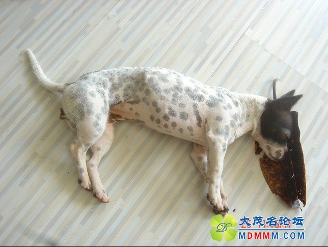 QQͼƬ20131026171445.jpg