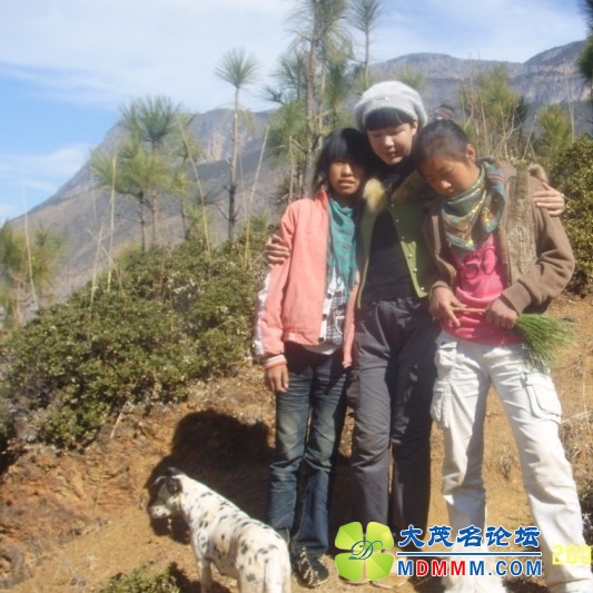 QQͼƬ20131026193123.jpg
